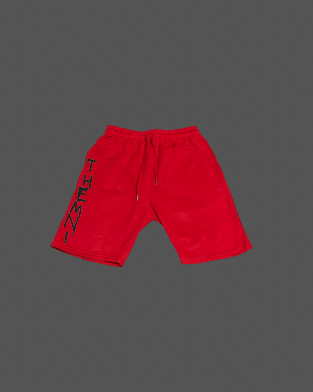 ThemNI Logo Shorts